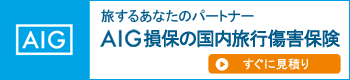 旅するあなたのパートナー AIG損保の国内旅行傷害保険