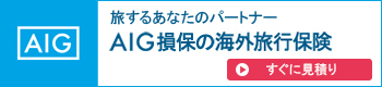 旅するあなたのパートナー AIG損保の海外旅行保険