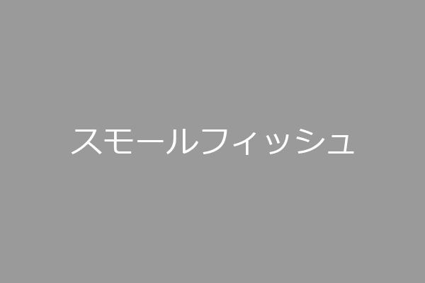 沖縄本島（北谷） スモールフィッシュ